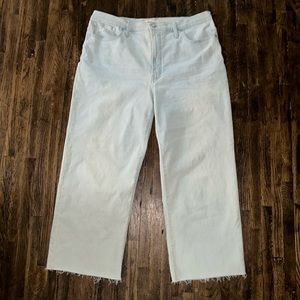 Madewell Perfect Vintage Wide Leg Crop Jean